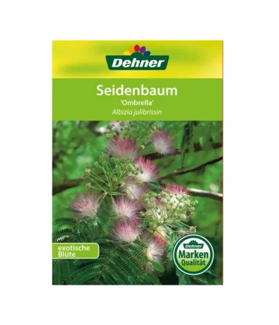 Seidenbaum - Seidenakazie 'Ombrella' -Haus Pflanzen Welt 00000000 Albizia julibrissin Ombrella 2016 1