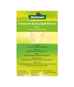 Apfelbeere, Aronia 'Aron' -Haus Pflanzen Welt 00000000 Aronia melanocarpa Aron 2016 2
