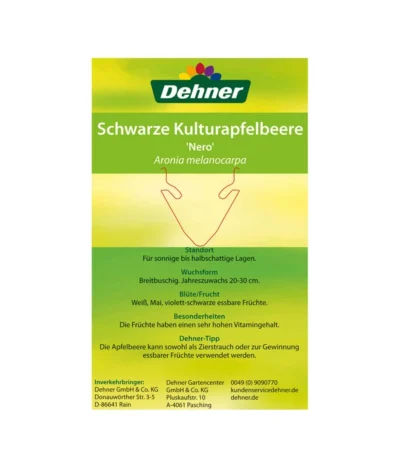Apfelbeere, Aronia 'Nero' 13 Apfelbeere, Aronia 'Nero' -Haus Pflanzen Welt 00000000 Aronia melanocarpa Nero 2016 2
