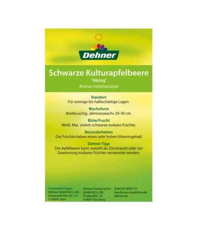 Apfelbeere, Aronia 'Viking' -Haus Pflanzen Welt 00000000 Aronia melanocarpa Viking 2016 2