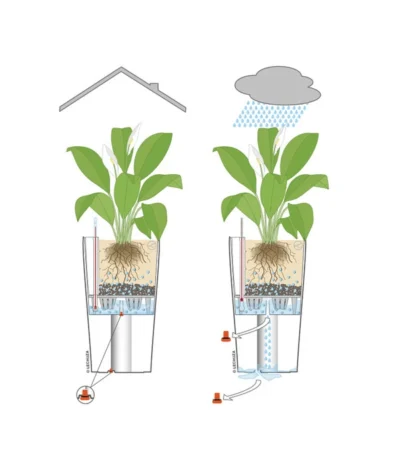 LECHUZA® CLASSICO LS, All-in-One-Set -Haus Pflanzen Welt 001 InOutdoorLechuza 4