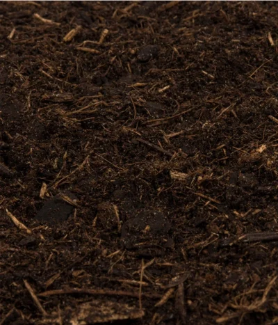 COMPO BIO Tomaten- Und Gemüseerde -Haus Pflanzen Welt 1039452 WE DE 001 COMPOSANATomatenundGemueseerde20l