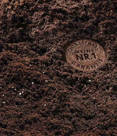 COMPO SANA Grünpflanzen- Und Palmenerde, 20 L -Haus Pflanzen Welt 144105 WE DE 002 COMPOSANAGruenpflanzenundPalmenerde20l