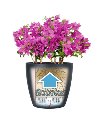 LECHUZA® CLASSICO Color, All-in-One-Set -Haus Pflanzen Welt 1495332 WE IG 001 LechuzaClassicoColor Infografik