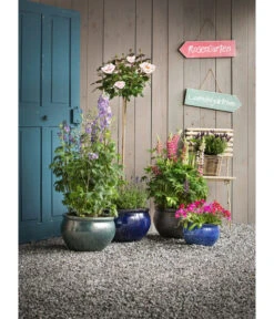 Dehner Keramik-Topf Bavaria, Bauchig -Haus Pflanzen Welt 1507698 WE MO 006 KeramikPflanztopfBavariaglasiert