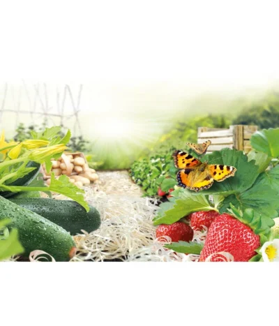 Ziegler Pro Natur® Erdbeer- & Gemüsewolle, 48 X 850 Gramm -Haus Pflanzen Welt 1614080 WE MO 001 ErdbeerundGemueseholzwolle850g