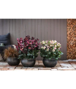 Dehner Keramik-Topf Bavaria, Bauchig -Haus Pflanzen Welt 167510 167544 167643 WE MO 004 KeramikPflanztopfBavariaglasiert