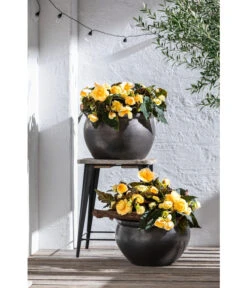 Dehner Keramik-Topf Bavaria, Bauchig -Haus Pflanzen Welt 167510 167544 167643 WE MO 005 KeramikPflanztopfBavariaglasiert