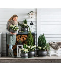 Dehner Keramik-Topf Bavaria, Bauchig -Haus Pflanzen Welt 167510 167544 167643 WE MO 008 KeramikTopfBavariaglasiert