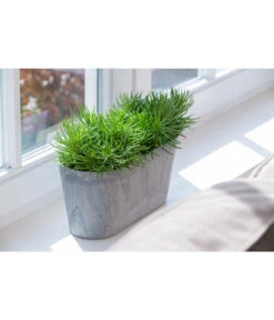 Artstone Kunststoff-Balkonkasten Claire -Haus Pflanzen Welt 1676006 WE MO 003 KunststoffTopfClairegrau