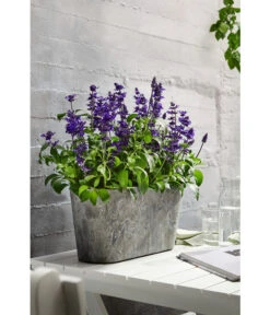 Artstone Kunststoff-Balkonkasten Claire -Haus Pflanzen Welt 1676006 WE MO 006 ArtstoneKunststoffKastenClaire