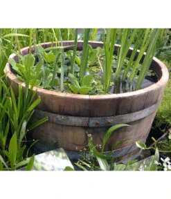 Holz-Weinfasskübel, Rund, Braun 12 Holz-Weinfasskübel, Rund, Braun -Haus Pflanzen Welt 1710680 WE MO 001 WeinfassKuebelEiche