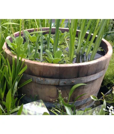 Holz-Weinfasskübel, Rund, Braun 12 Holz-Weinfasskübel, Rund, Braun -Haus Pflanzen Welt 1710680 WE MO 001 WeinfassKuebelEiche