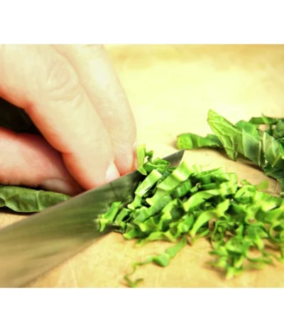 Wasabi 13 Wasabi -Haus Pflanzen Welt 20120718 WE MO 003 Wasabi Gs Detail Blaetter schneiden