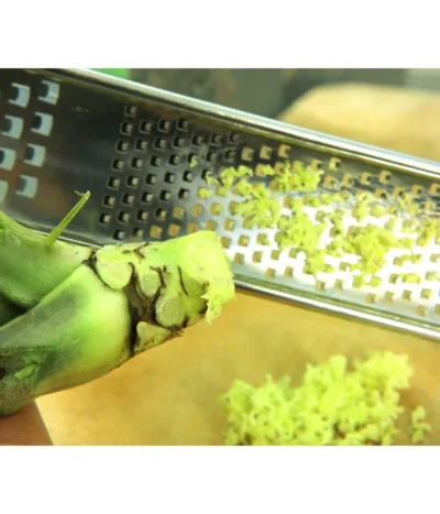 Wasabi 12 Wasabi -Haus Pflanzen Welt 20120718 WE MO 004 Wasabi Gs Reibe