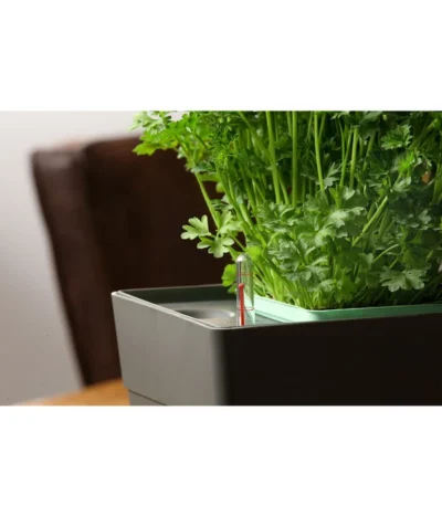 GREENBAR® Kräuterkasten, Ca. B48/H15,5/T16 Cm 20 GREENBAR® Kräuterkasten, Ca. B48/H15,5/T16 Cm -Haus Pflanzen Welt 20150713 350 greenbar fuellanzeiger studio herzig