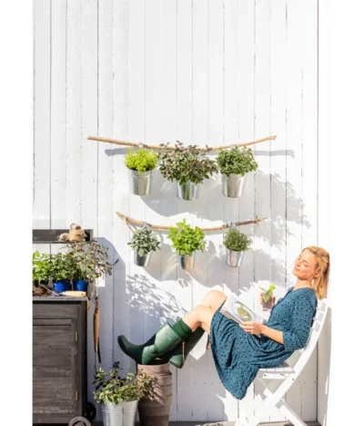 Dehner Gourmet Garten Zitronenmelisse 7 Dehner Gourmet Garten Zitronenmelisse -Haus Pflanzen Welt 20181011 PR MO 003 Kraeuter 01