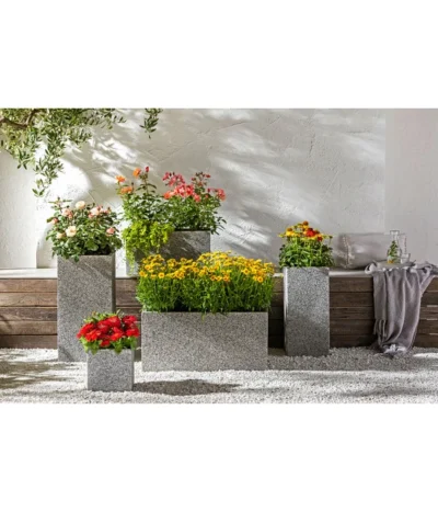 Garten-Scheinsonnenhut 'Cheyenne Spirit' -Haus Pflanzen Welt 20190711 PR MO 001 Schmetterlingsgarten Rosen usw GC14 2020 02