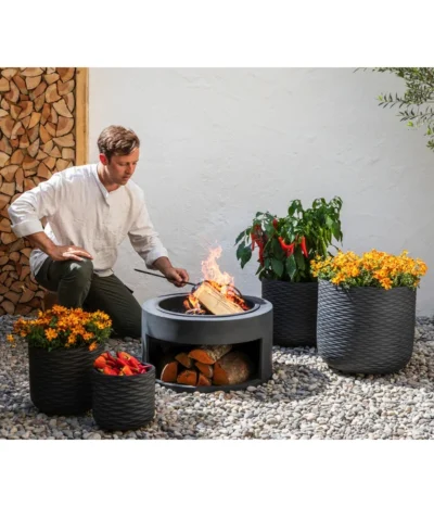 Goldmarie, Orange -Haus Pflanzen Welt 20210610 8810020 8832966 WE MO 001 BidensOrangeT12 GC09 2022 02