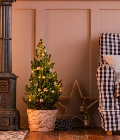 Geschmückter Weihnachtsbaum Loxley, Mit Lichterkette, Ca. H70 Cm -Haus Pflanzen Welt 20220120 6202071 6202048 WE MO 001 WeihnachtsBaumLoxley28cmLED