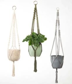 Dehner Makramee-Ampel -Haus Pflanzen Welt 2061968 4409132 WE MO 002 AmpelMakramee