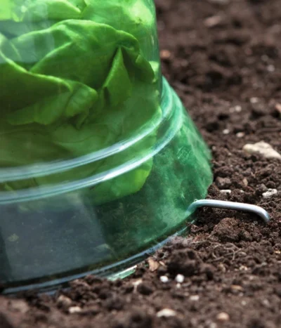 Windhager Pflanzenhut, Ø24 Cm, 10 Stk. 13 Windhager Pflanzenhut, Ø24 Cm, 10 Stk. -Haus Pflanzen Welt 2062289 WE DE 001 WindhagerPflanzenhut