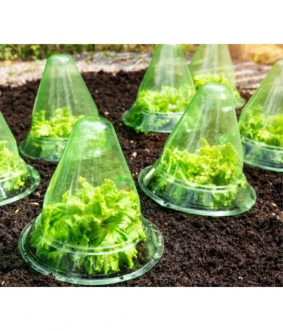 Windhager Pflanzenhut, Ø24 Cm, 10 Stk. 11 Windhager Pflanzenhut, Ø24 Cm, 10 Stk. -Haus Pflanzen Welt 2062289 WE MO 001 WindhagerPflanzenhut