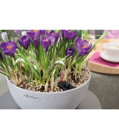 LECHUZA® Kunststoff-Schale Cubeto Stone, Rund -Haus Pflanzen Welt 2182574 2180354 WE MO 016 LECHUZACubetoColorrundgranit