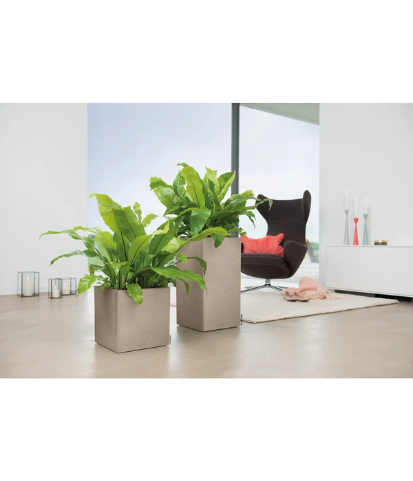 LECHUZA® Kunststoff-Topf Canto Stone, Quadratisch – Bild 3