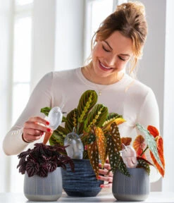 Dehner Keramik-Übertopf Mavie, Rund, Anthrazit 6 Dehner Keramik-Übertopf Mavie, Rund, Anthrazit -Haus Pflanzen Welt 220527 5356548 WE MO 001 ScheurichWasserspeicherBirdy