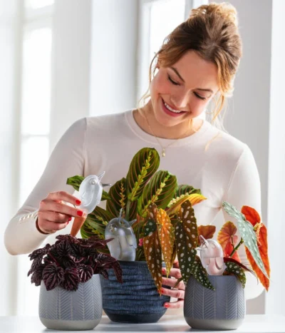 Dehner Keramik-Übertopf Mavie, Rund, Anthrazit 6 Dehner Keramik-Übertopf Mavie, Rund, Anthrazit -Haus Pflanzen Welt 220527 5356548 WE MO 001 ScheurichWasserspeicherBirdy