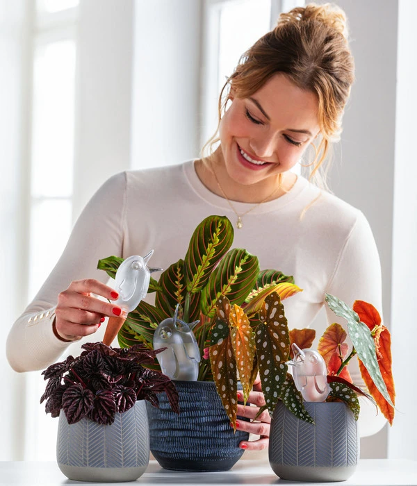 Dehner Keramik-Übertopf Mavie, Rund, Anthrazit 4 Dehner Keramik-Übertopf Mavie, Rund, Anthrazit – Bild 3