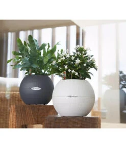 LECHUZA® PURO Color, All-in-One-Set, Rund, Ca. Ø20 Cm 16 LECHUZA® PURO Color, All-in-One-Set, Rund, Ca. Ø20 Cm -Haus Pflanzen Welt 2418598 WE MO 003 LechuzaPuroColor20schiefergrau