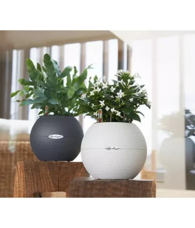 LECHUZA® PURO Color, All-in-One-Set, Rund, Ca. Ø20 Cm -Haus Pflanzen Welt 2418598 WE MO 003 LechuzaPuroColor20schiefergrau