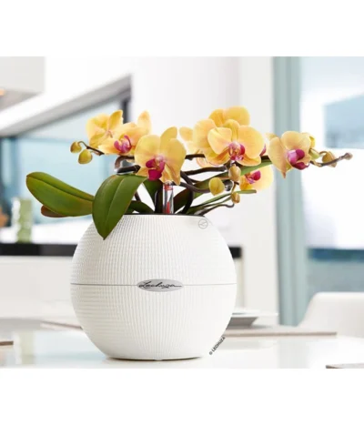 LECHUZA® PURO Color, All-in-One-Set, Rund, Ca. Ø20 Cm -Haus Pflanzen Welt 2418622 WE MO 002 PuroColor20cmweiss