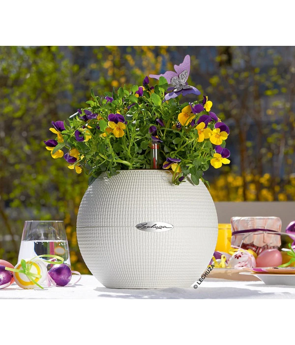 LECHUZA® PURO Color, All-in-One-Set, Rund, Ca. Ø20 Cm 7 LECHUZA® PURO Color, All-in-One-Set, Rund, Ca. Ø20 Cm – Bild 5