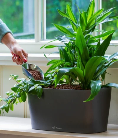 LECHUZA® Kasten DELTA, All-in-One-Set 7 LECHUZA® Kasten DELTA, All-in-One-Set -Haus Pflanzen Welt 2427508 WE MO 001 DeltaAnthrazit 5496443