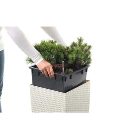 Dehner Kunststoff-Flechttopf Dallas, Quadratisch -Haus Pflanzen Welt 2460020 WE DE 001 EmsaKunststofftopf36x36cmweiss