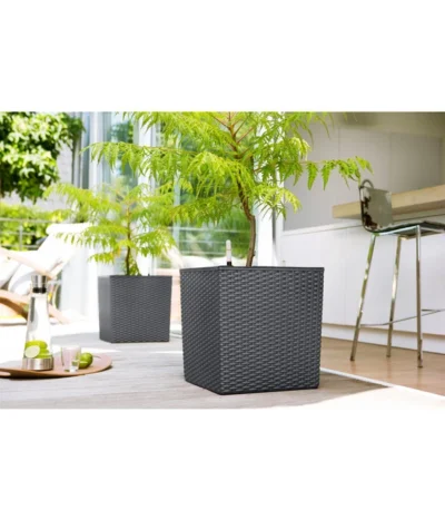 Dehner Kunststoff-Pflanztopf Dallas, Quadratisch, Ca. B35/H34/T35 Cm -Haus Pflanzen Welt 2460038 2460046 2460053 WE MO 001 KunststoffTopf36x36x36cm