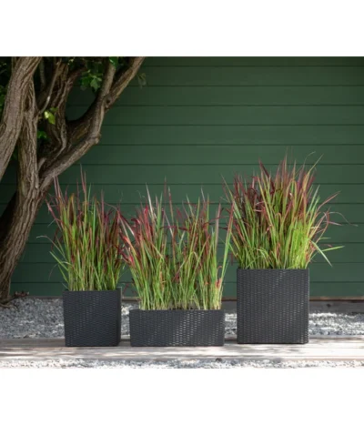 Dehner Kunststoff-Pflanztopf Dallas, Quadratisch, Ca. B35/H34/T35 Cm -Haus Pflanzen Welt 2460046 WE MO 003 DehnerKunststoffPflanztopfDallasquadratisch