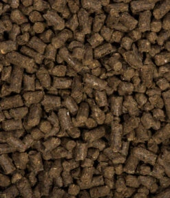 COMPO BIO Universal Langzeit-Dünger Mit Schafwolle, 2 Kg 7 COMPO BIO Universal Langzeit-Dünger Mit Schafwolle, 2 Kg -Haus Pflanzen Welt 2528917 WE DE 002 COMPOBIOUniversalLangzeitDungermitSchafwolle