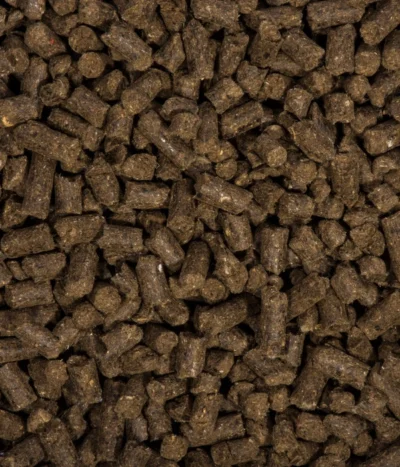 COMPO BIO Universal Langzeit-Dünger Mit Schafwolle, 2 Kg -Haus Pflanzen Welt 2528917 WE DE 002 COMPOBIOUniversalLangzeitDungermitSchafwolle