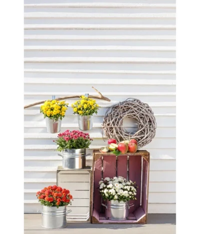 Zinktopf Mit Bügelhalter, Rund -Haus Pflanzen Welt 2533388 WE MO 004 ZinktopfmitBuegelhalter