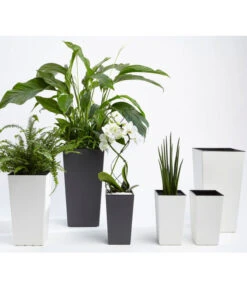 Dehner Kunststoff-Topf Elise, Konisch, Matt, Inkl. Bewässerungsystem -Haus Pflanzen Welt 2539427 WE MO 001 KunststoffTopfEliseWeissTaupeAnthrazitFotoshootingUveSauerFebruar2016