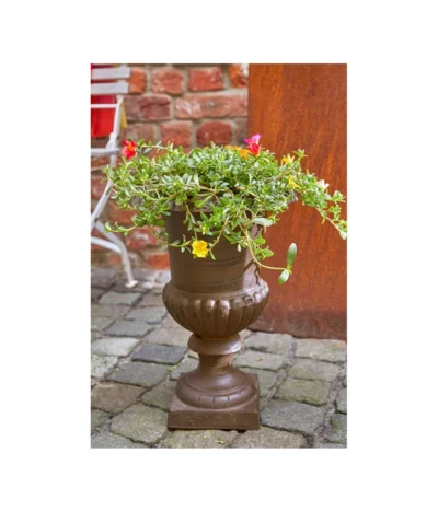 Esschert Design Französische Pflanzvase Aus Gusseisen, Dunkelbraun -Haus Pflanzen Welt 2542637 WE MO 003 FranzoesischeVaseausGusseisenrostfarbenVaseBlumenvaseTopfBlumentopfPflanzvasePflanztopfPflanzgefaess