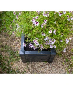 KHW Kunststoff-Pflanzkasten, 43 X 43 X 41 Cm -Haus Pflanzen Welt 2549376 WE DE 006 Kasten43cmanthrazit