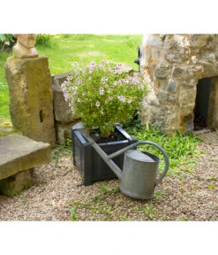 KHW Kunststoff-Pflanzkasten, 43 X 43 X 41 Cm -Haus Pflanzen Welt 2549376 WE MO 003 Kasten43cmanthrazit