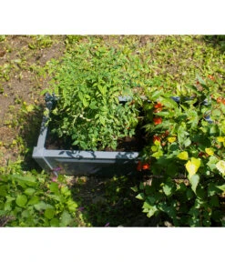 KHW Kunststoff-Pflanzkasten, 100 X 43 X 41 Cm -Haus Pflanzen Welt 2549483 WE DE 003 Pflanzkasten100cmanthrazit