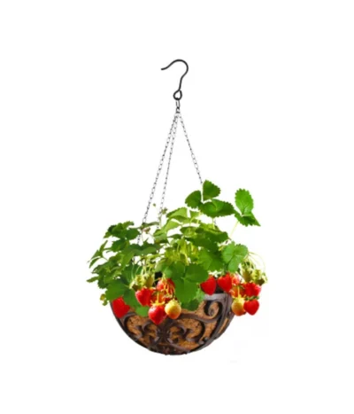 Dehner Gusseisen-Hängeampel Katalonien Mit Kokoseinlage, Rund, Rost, Ca. Ø30/H15 Cm 9 Dehner Gusseisen-Hängeampel Katalonien Mit Kokoseinlage, Rund, Rost, Ca. Ø30/H15 Cm -Haus Pflanzen Welt 2745461 WE MO 001 GusseisenHaengeampel30cm