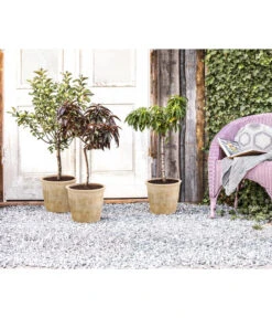 Terrakotta-Topf Grado, Rund, Antik-terrakotta -Haus Pflanzen Welt 2782613 WE MO 002 TerrakottaTopfGraffiato